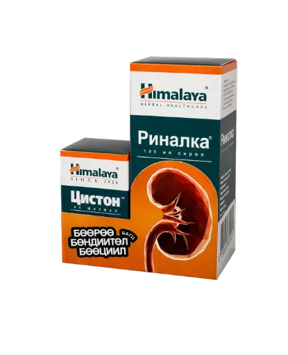 [101787] Цистон+Риналка багц Himalaya